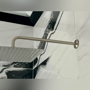 Signature Hardware 19” Extended Shower Arm- Brushed Nickel
